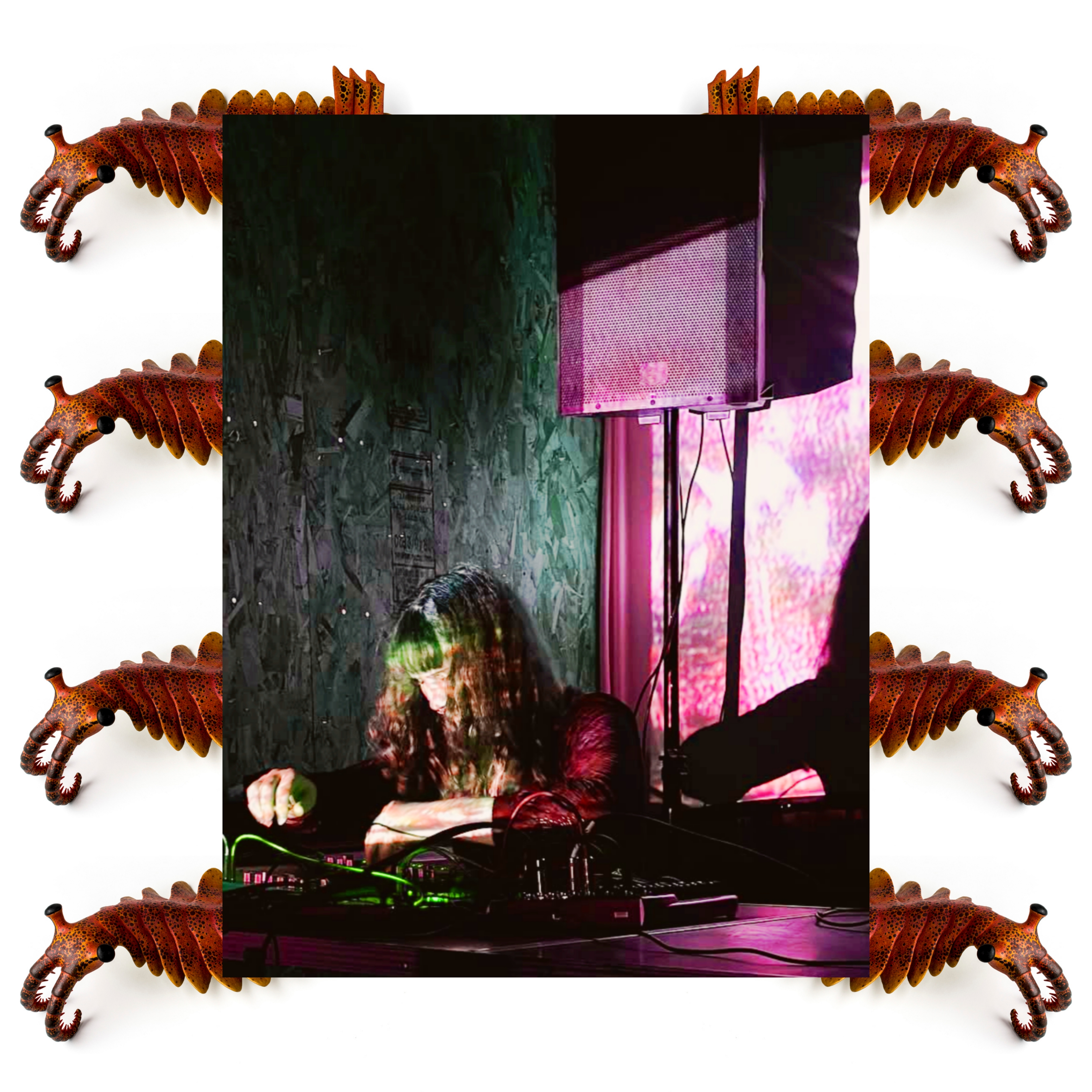 Winnifred Worm Friend